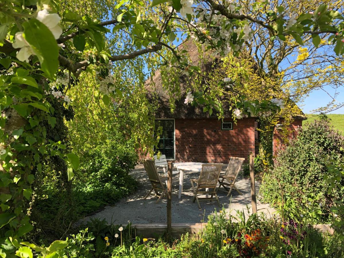 Vila Haus Kaethe Am Deich Balje Exteriér fotografie